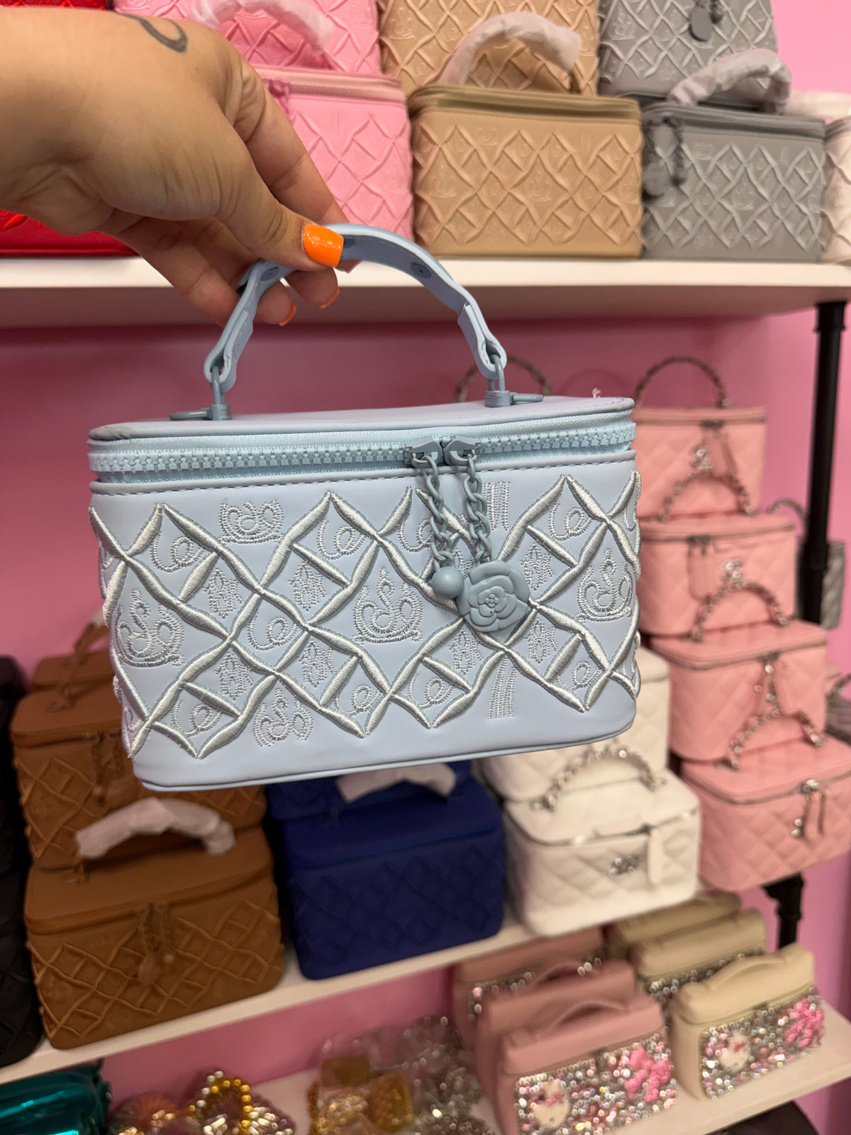 Vanity Embroidered Purse