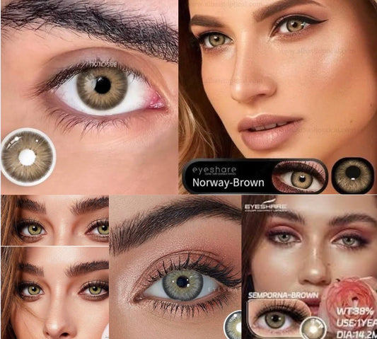 Contacts